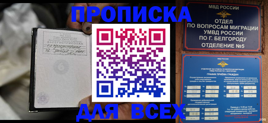 где прописаться в Кингисеппе